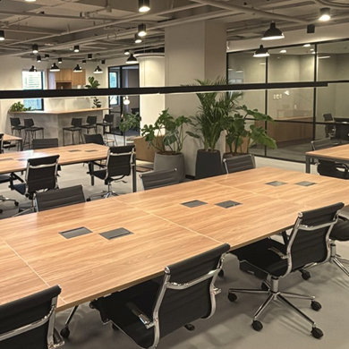 GD Consulting